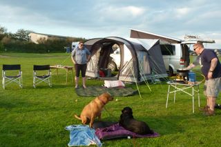 Experience Peaceful Adult-Only Camping on a Working Organic Farm
